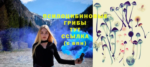 спиды Зерноград