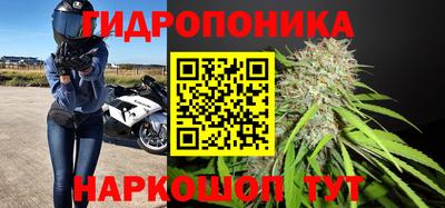 скорость Берёзовский