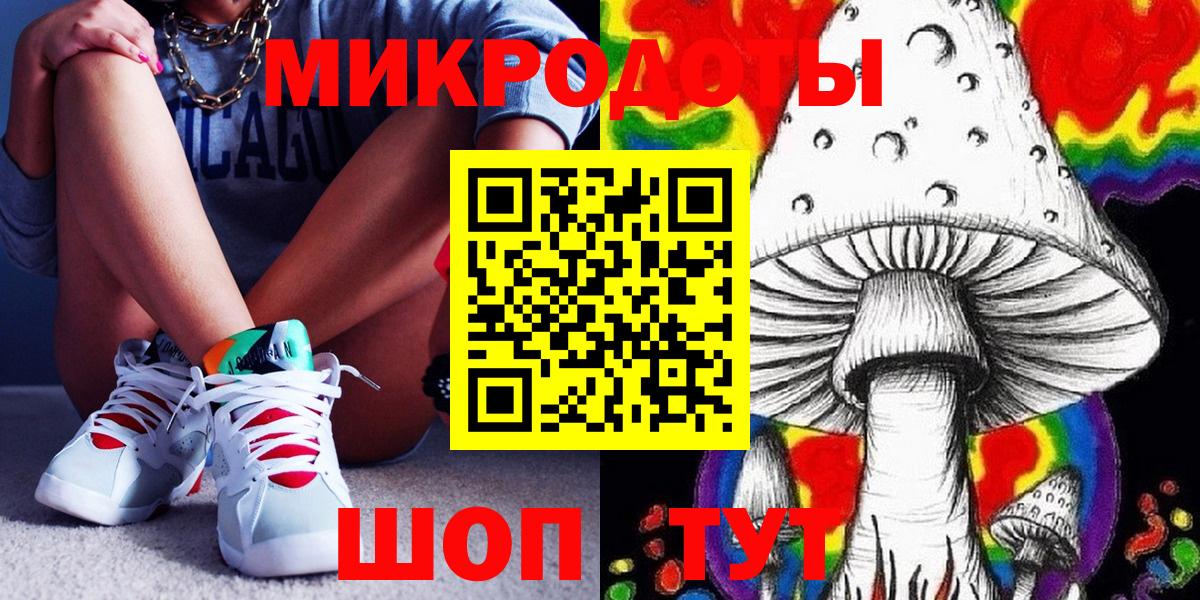 Псилоцибиновые грибы Cubensis Карабулак