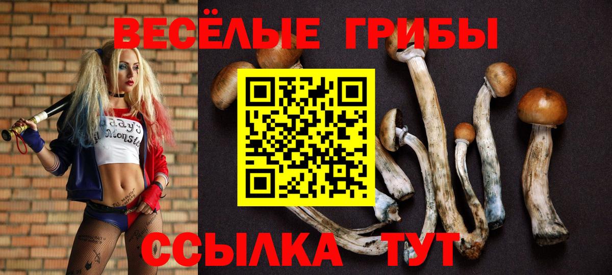 Каннабис  Альфа-ПВП  Карабулак  COCAIN  Вход с VPN  Где найти наркотики?  Мяу-Мяу  МЕФ  ГАШИШ 